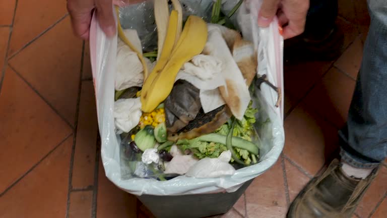 Best Yard Waste Removal  in Falconer, NY